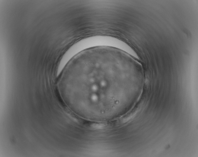 X0000115220139200911121932