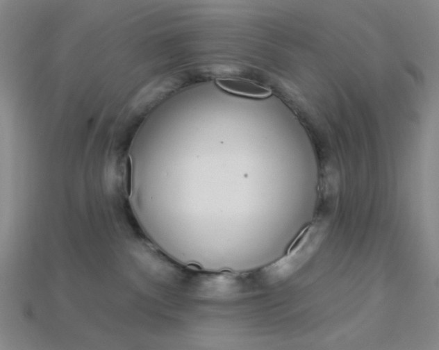 X0000115220140200911121932