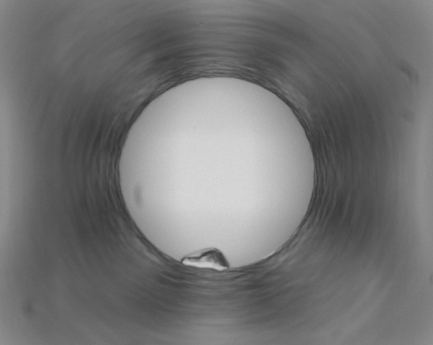 X0000115220141200911121932