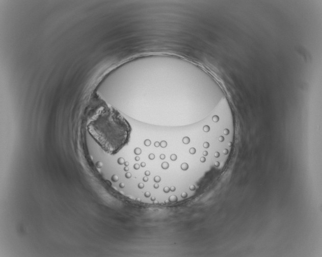 X0000115220145200911121931