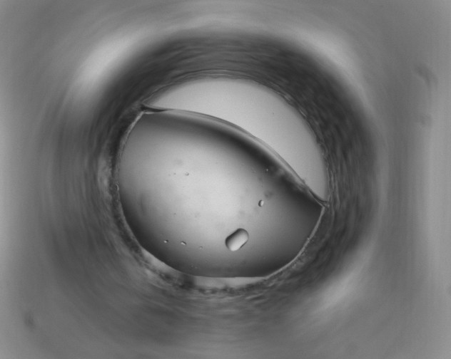 X0000115220146200911121931