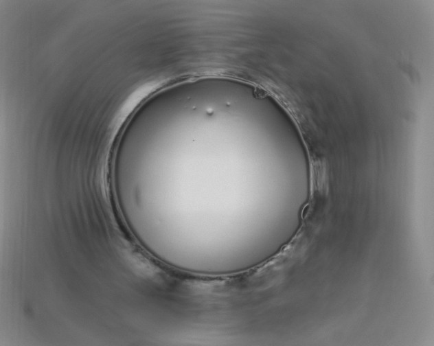 X0000115220147200911121931