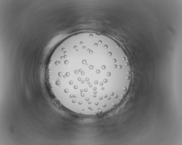 X0000115220149200911121931