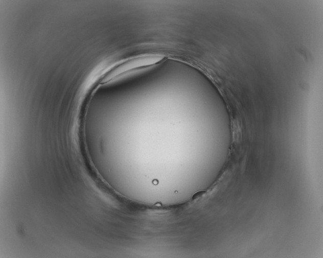 X0000115220150200911121931