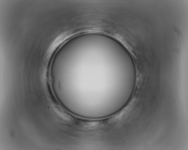 X0000115220151200911121931