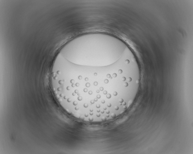 X0000115220153200911121932