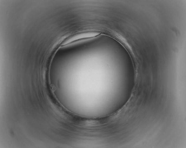 X0000115220154200911121932