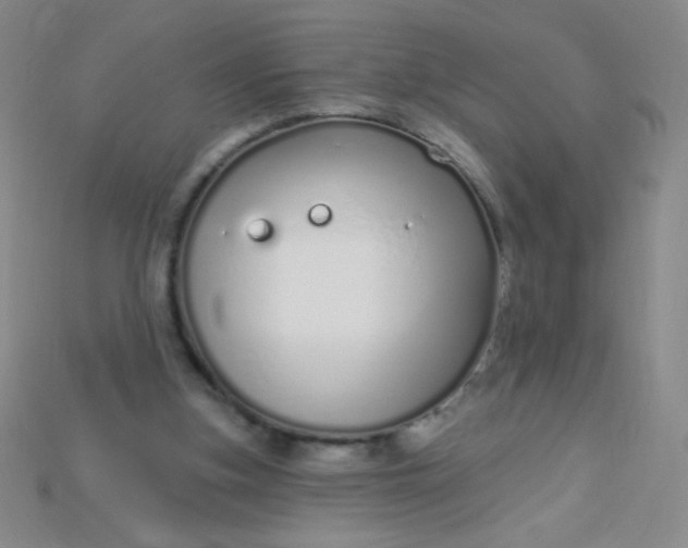 X0000115220155200911121932