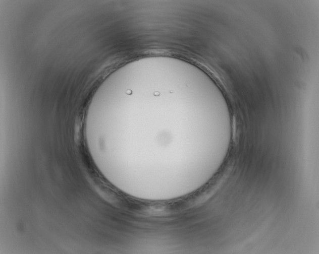 X0000115220157200911121932