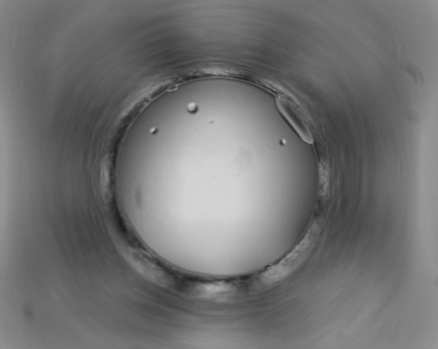 X0000115220158200911121932