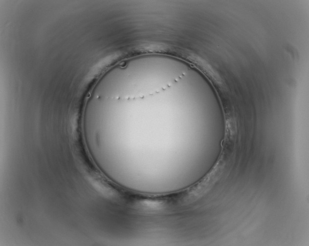 X0000115220159200911121932