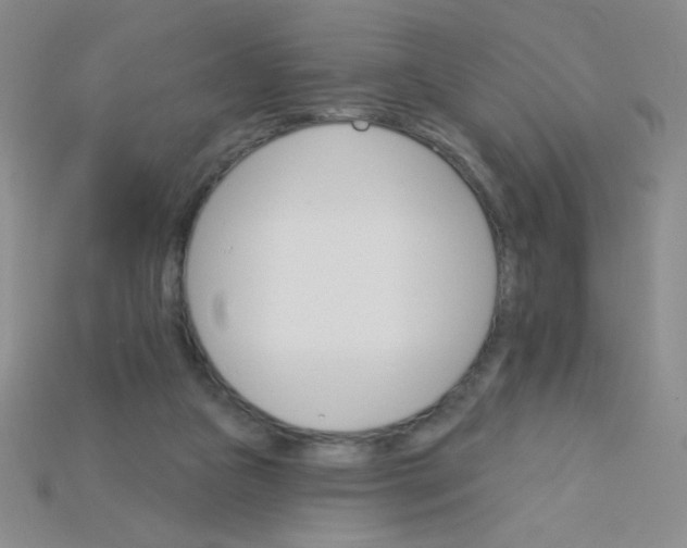 X0000115220161200911121932
