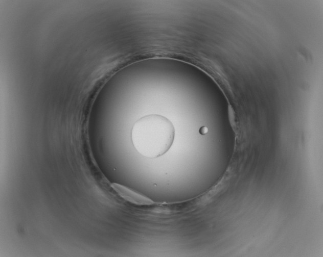 X0000115220162200911121932