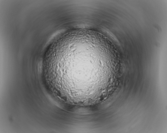 X0000115220163200911121932