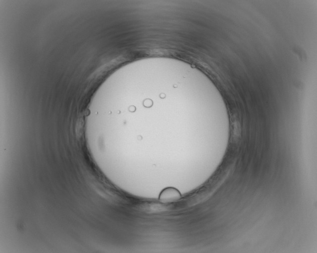 X0000115220165200911121932