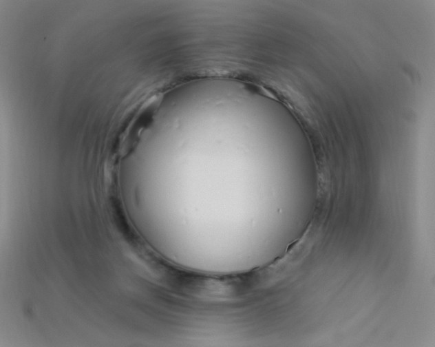 X0000115220166200911121932