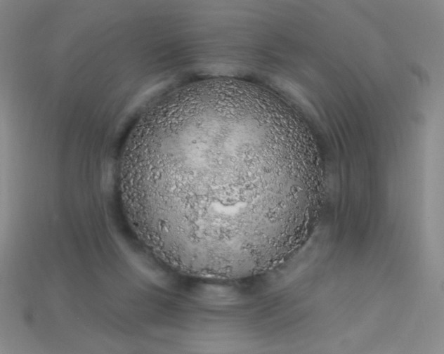 X0000115220167200911121932