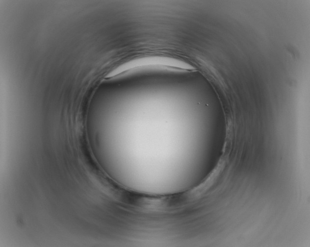 X0000115220170200911121932