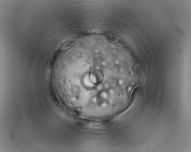 X0000115220171200911121932
