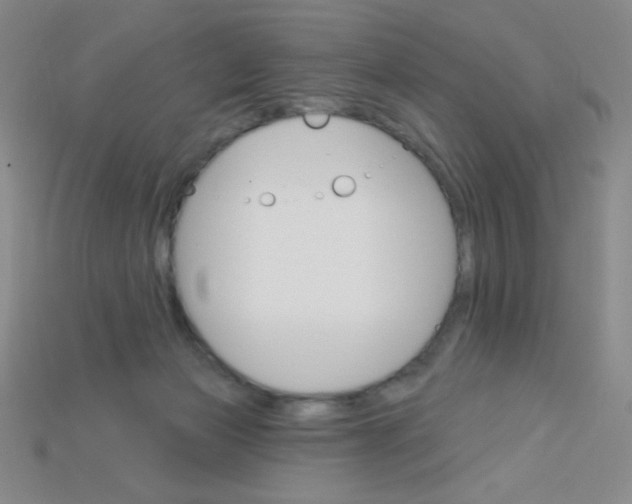X0000115220173200911121932