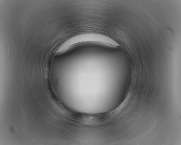 X0000115220174200911121932