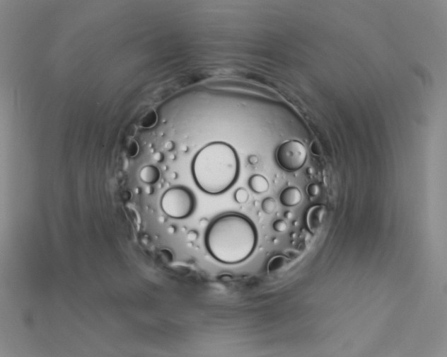 X0000115220175200911121932