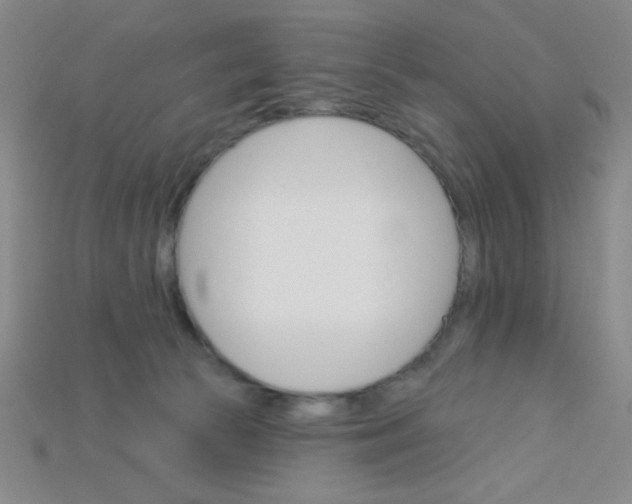 X0000115220177200911121932