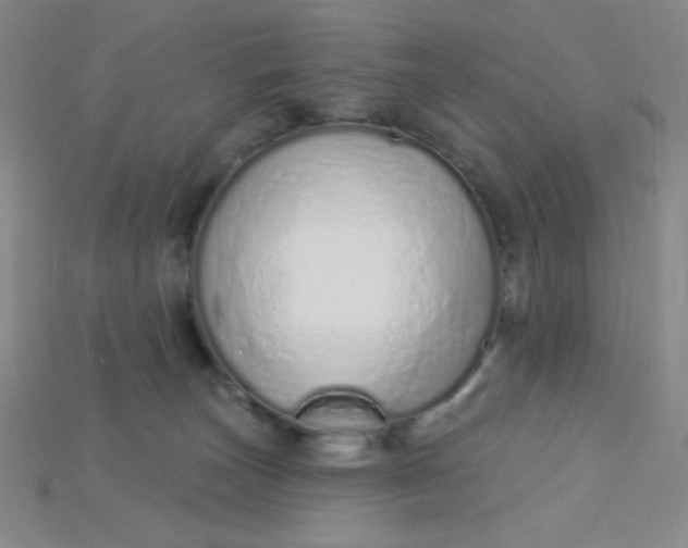 X0000115220179200911121932