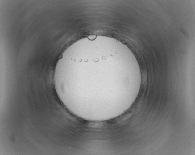 X0000115220181200911121932