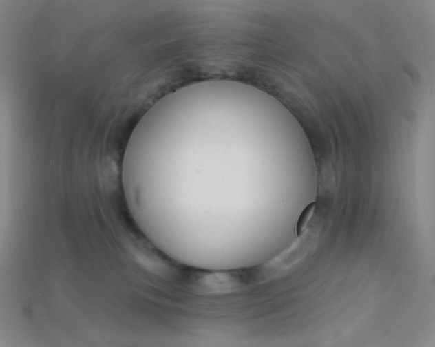 X0000115220183200911121932