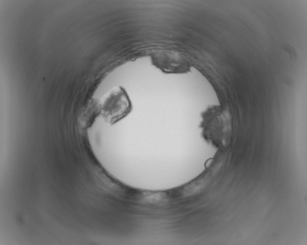 X0000115220185200911121932