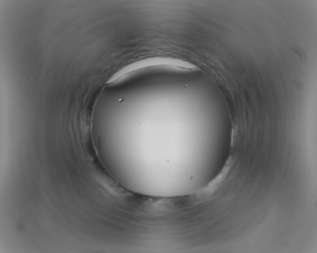 X0000115220186200911121932