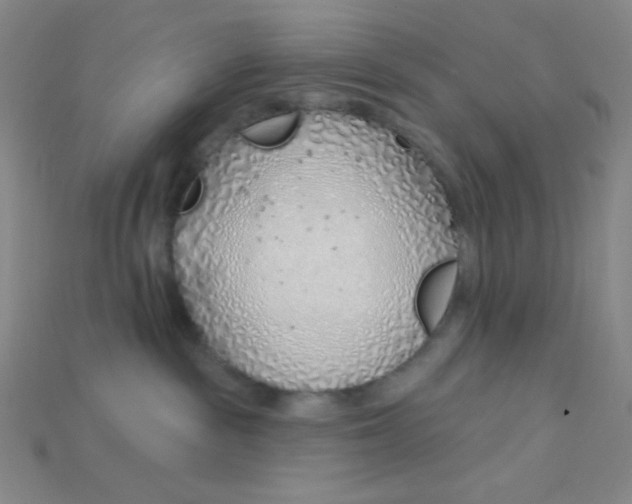 X0000115220189200911121932
