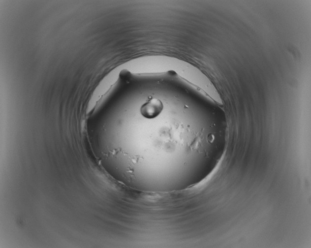 X0000115220190200911121932