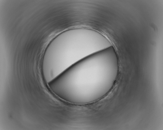 X0000115220193200911121931