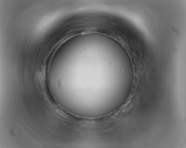X0000115220194200911121931