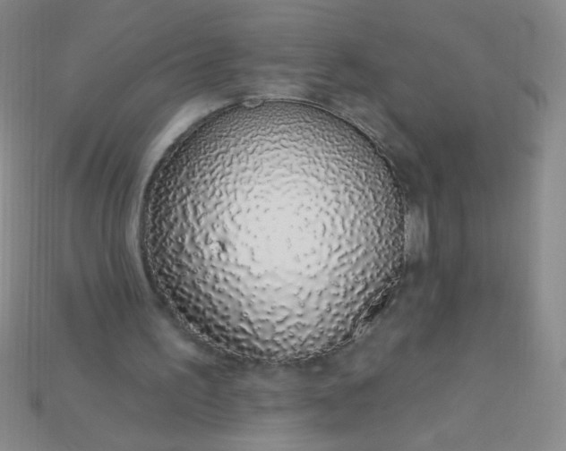 X0000115220195200911121931