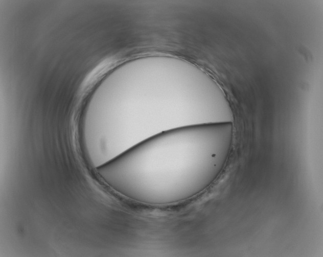 X0000115220197200911121931