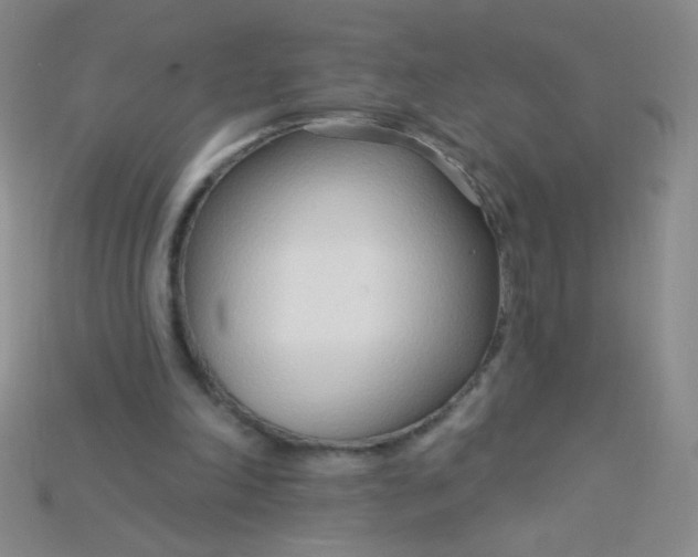X0000115220198200911121931