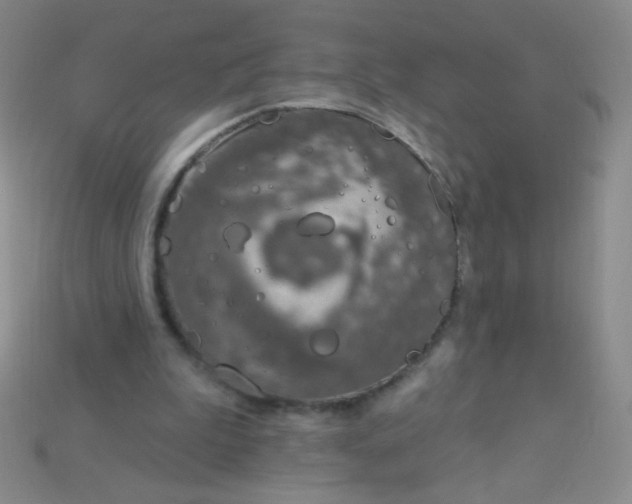 X0000115220199200911121931