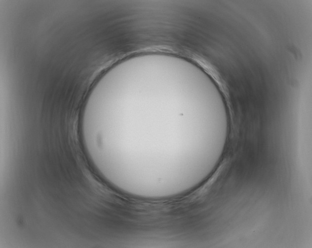 X0000115220201200911121931