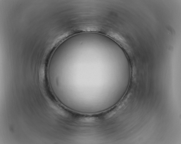 X0000115220202200911121931