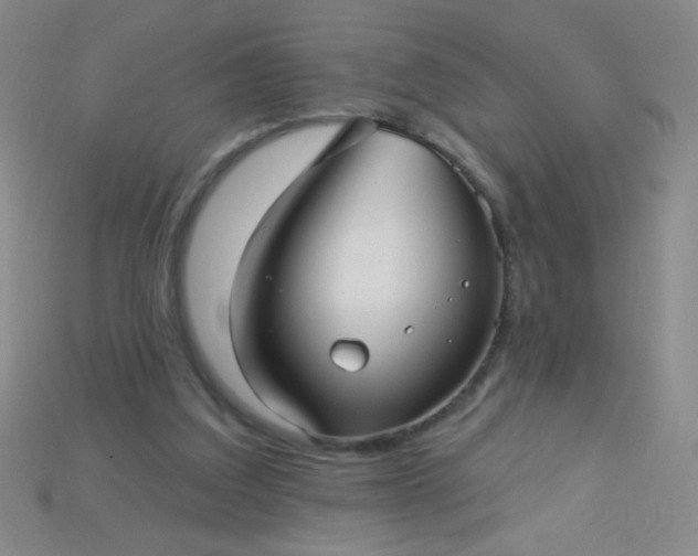 X0000115220203200911121931