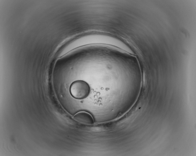 X0000115220204200911121931