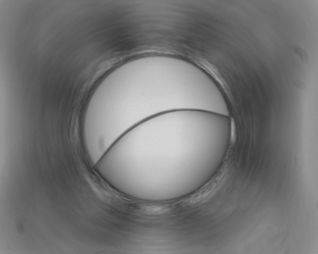 X0000115220205200911121931