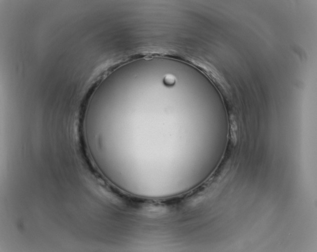 X0000115220207200911121931
