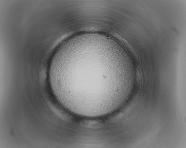 X0000115220208200911121931