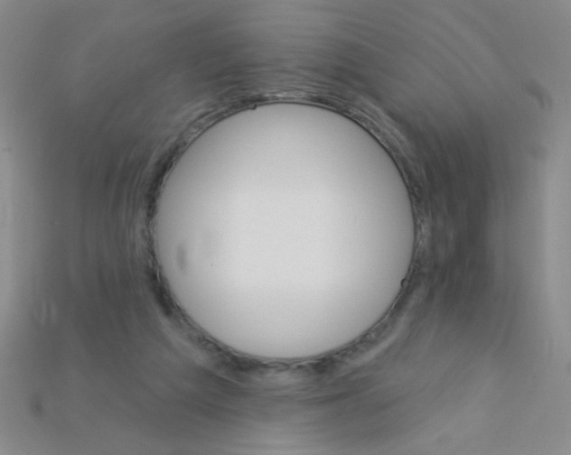 X0000115220209200911121931