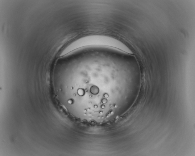 X0000115220212200911121931