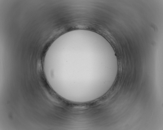 X0000115220213200911121931